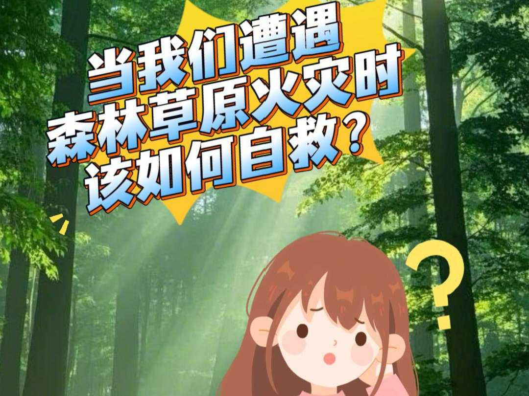 遭遇森林草原火灾如何自救？