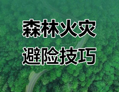 春季风多，谨记森林防火“十不准”
