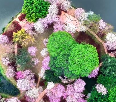 文化中国行·联播一瞬丨立春：人随春好，花映年丰