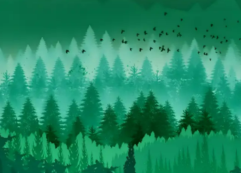 宁武县薛家洼乡：从严从实抓好防火安全工作