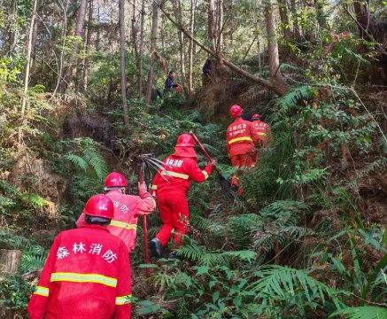 五台山国有林管理局：全力维护林区安全稳定