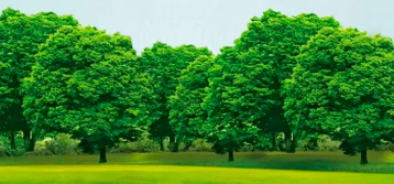 春季风多 谨记森林防火“十不准”