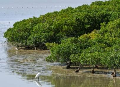 市民呼吁装灯，这座公园为何说“不”？