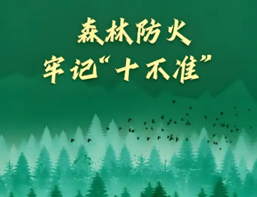 春季风多 谨记森林防火“十不准”