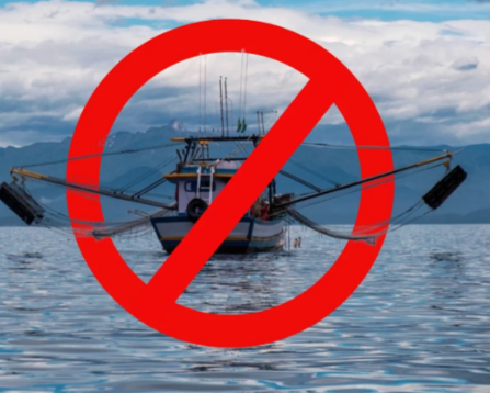 3月1日起珠江等内陆水域进入春季禁渔期