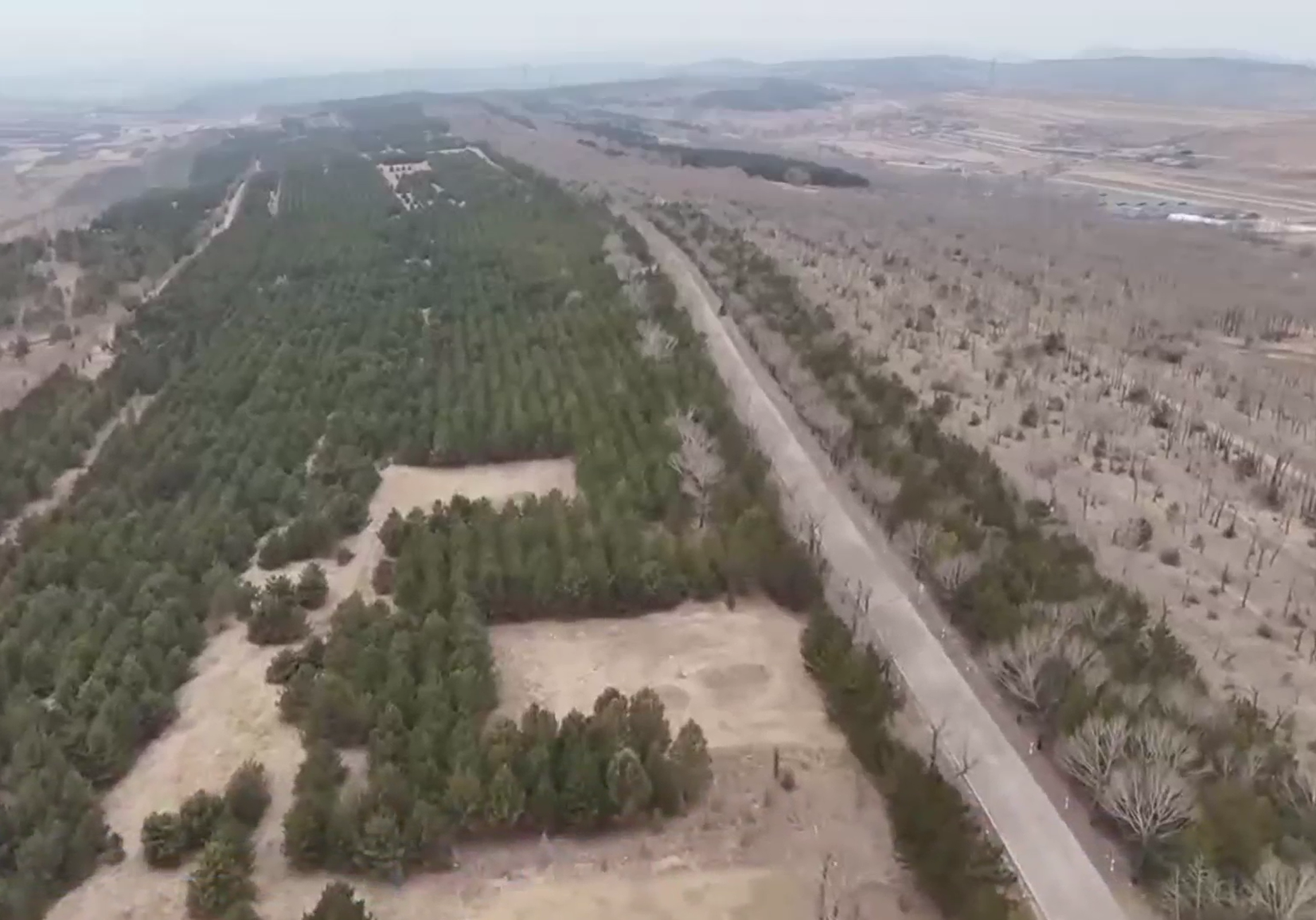 【安全为天 责任如山】科技赋能 立体防控 我省各地守牢森林防火“安全线”