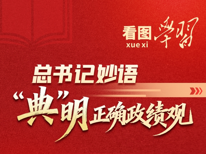 看图学习丨总书记妙语“典”明正确政绩观