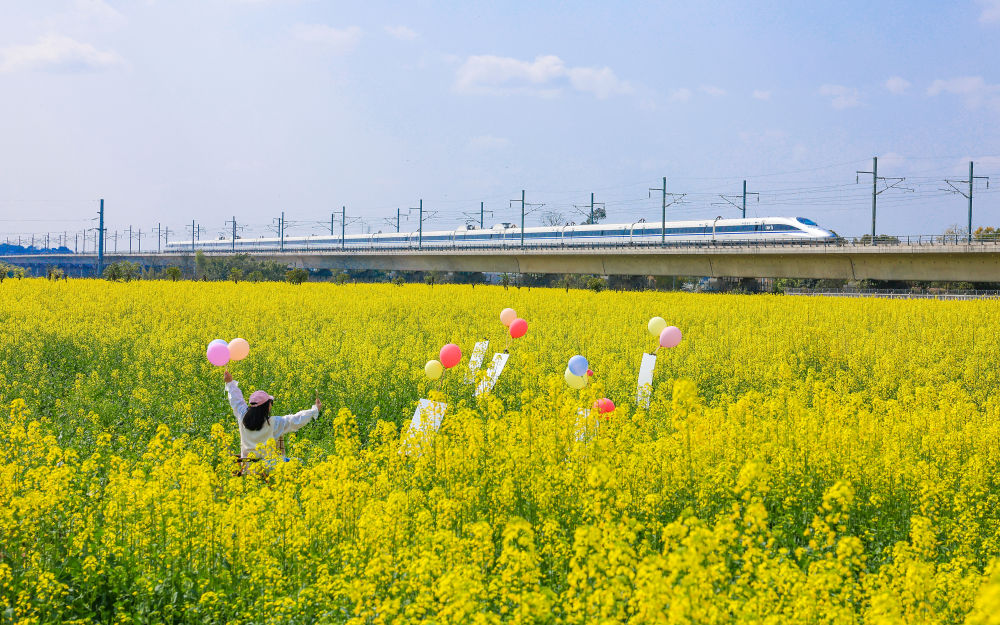 “十五五”时期怎么干？新华社播发重磅政论！