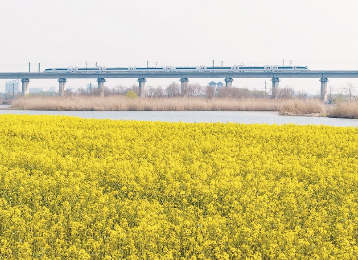 学术圆桌 | 以正确政绩观跑好“关键一程”
