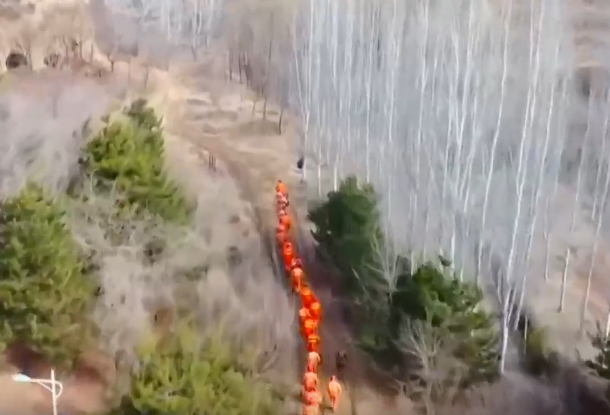 【安全为天 责任如山】我省各地全力筑牢春季森林“防火墙” 守护青山一片绿