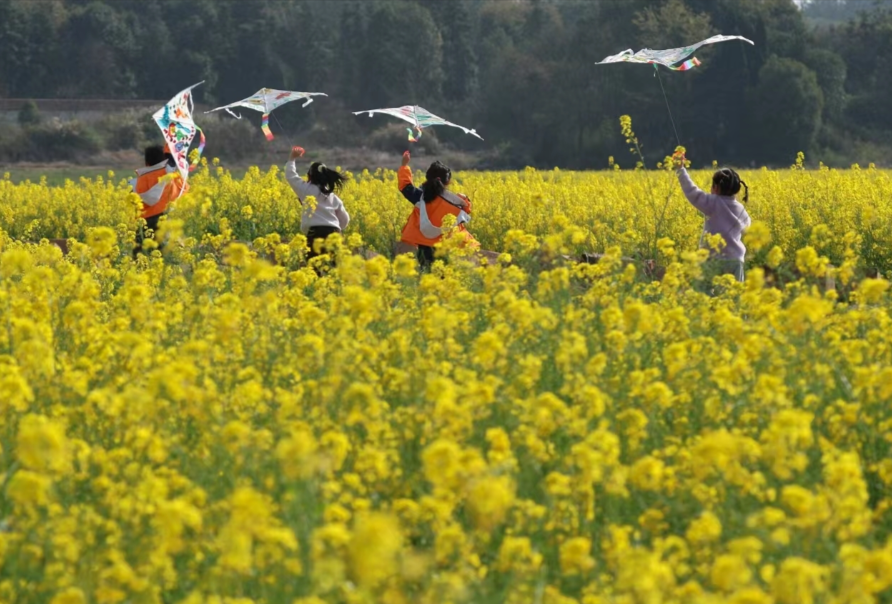 亲近自然、开阔眼界 多地发布中小学春假安排