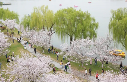 “全体员工享受三天带薪春假”，大人和孩子都需要“春天”