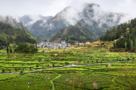 镜观中国｜赴一场春天的约会