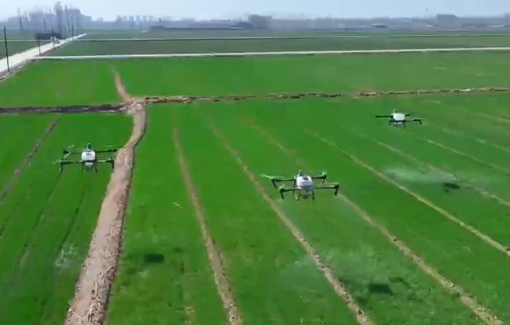 2026年“三农”工作怎么干？我省六方面30项任务清单来了（一）