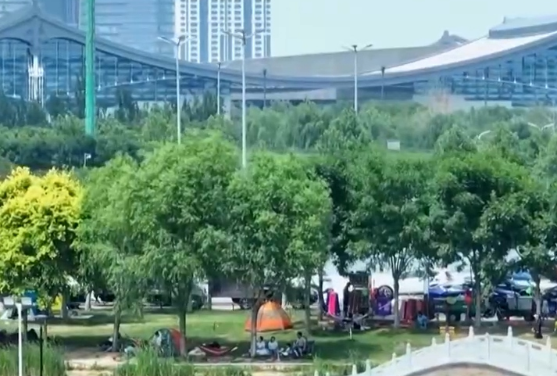 【树立和践行正确政绩观】深学细悟 在实干担当中践行初心使命