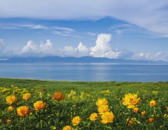 春风拂面别松劲