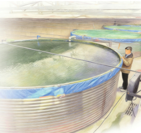 “太原海域”三文鱼养殖基地——黄土高原 新农人念起养鱼经