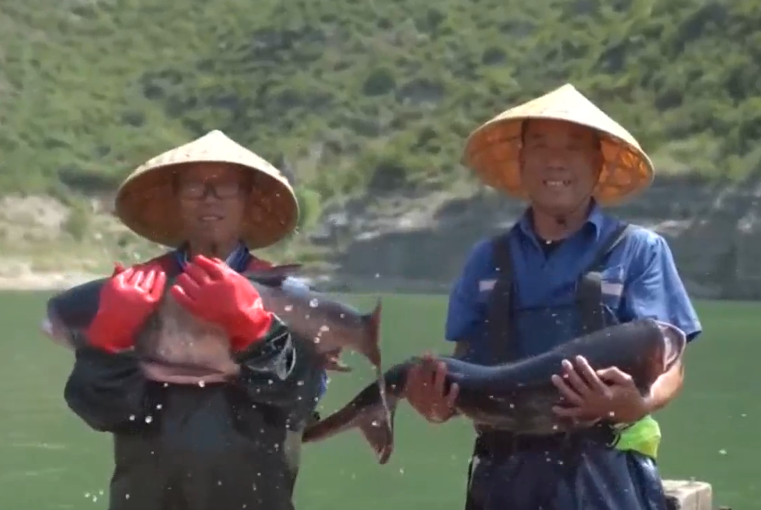 汾河二库入选全国大水面生态增养殖渔业典型案例