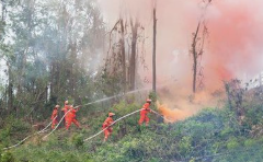 山西繁峙抓实森林草原防灭火 守牢生态安全底线