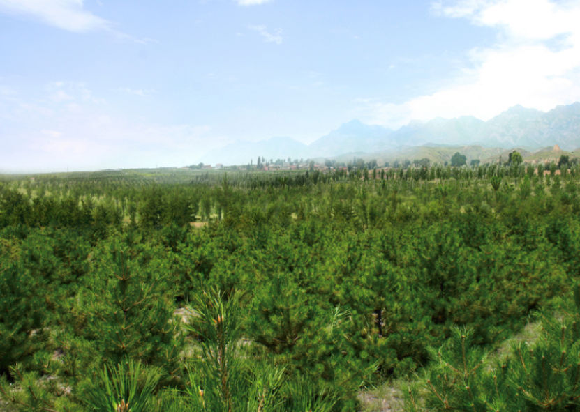 怀仁市扎实筑牢春季森林草原防火安全屏障