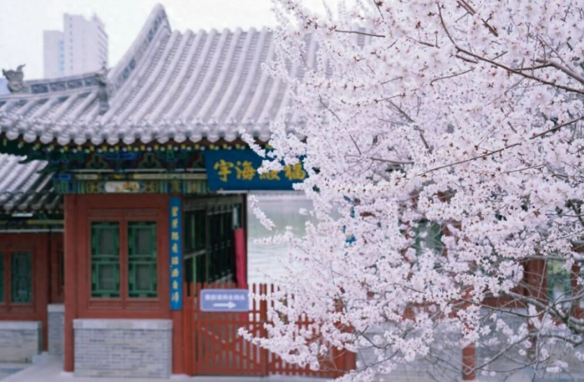 杜牧笔下的“杏花微雨”，你以为只是意境？在山西，处处都是实景……