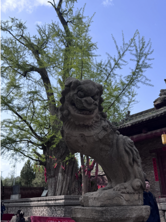 岱庙舞楼启序，三晋文脉寻踪