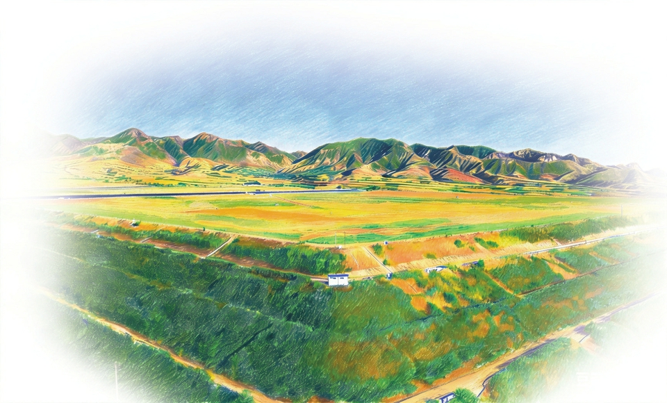 【十五五开好局起好步·央地同心谋发展】赤泥堆上“长出”千亩草场