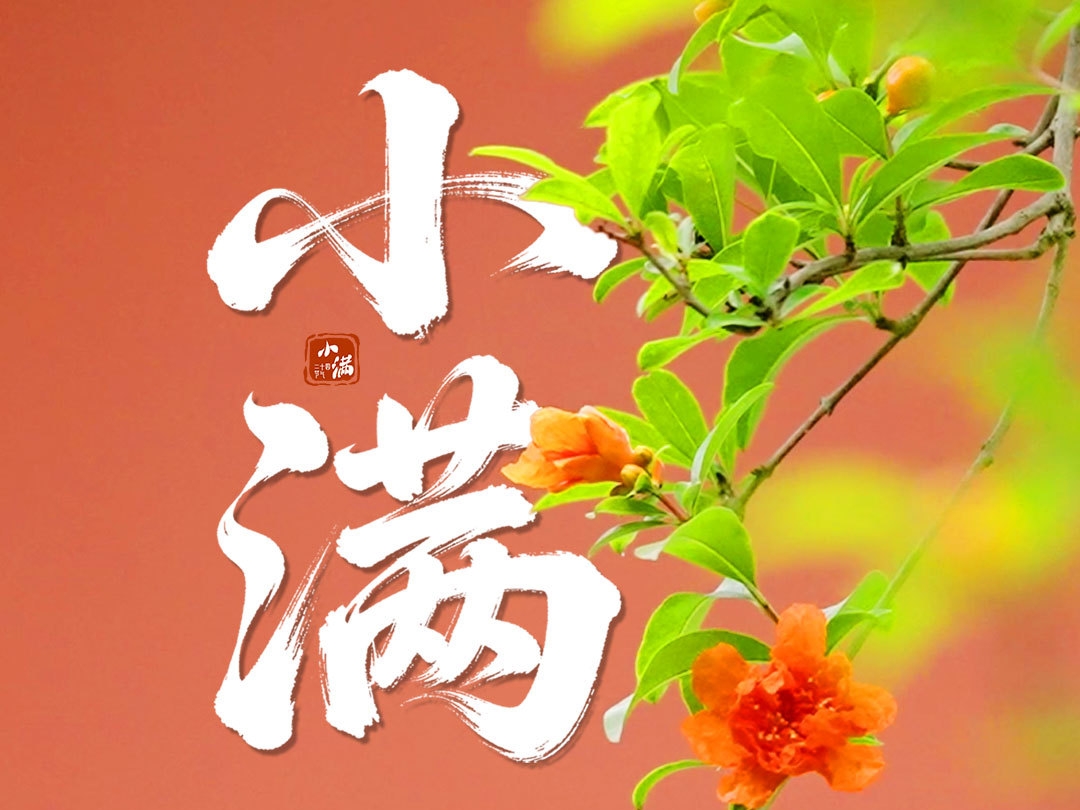 文化中国行·联播一瞬丨小满未满 自在安然