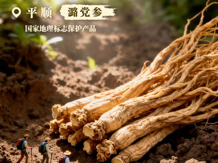 晋品寻踪记 | 一句话，记住山西味道