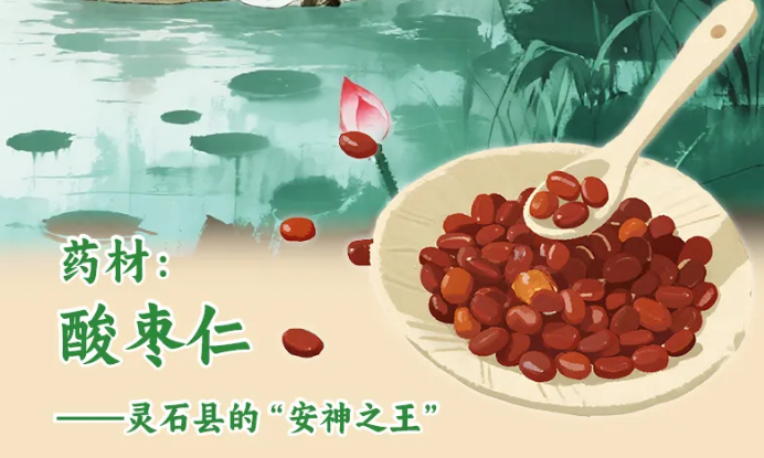 晋品寻踪记丨山西道地药材的二十四节气养生经