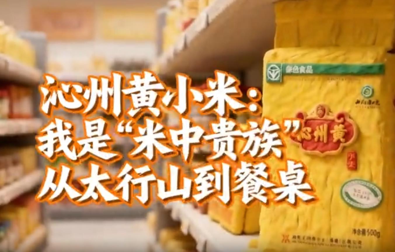 晋品寻踪记丨沁州黄小米：我是米中贵族，从太行山到餐桌