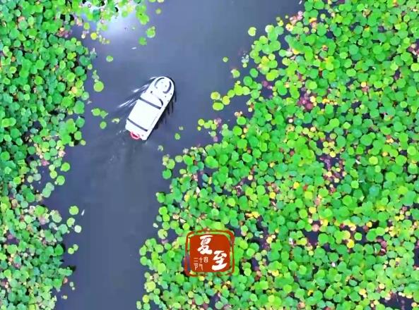 文化中国行·联播一瞬丨夏至如约 沐光而行皆晴朗