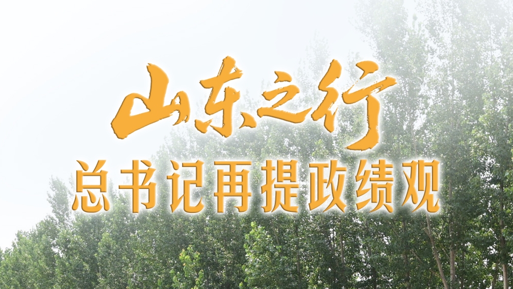 一见·山东之行，总书记再提政绩观