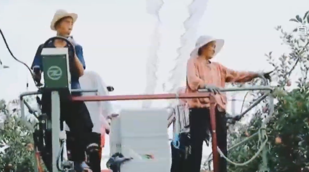 【晋品寻踪记】运城：“快乐”苹果出国“游”