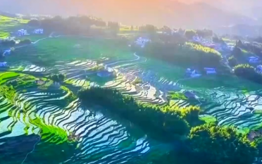 文化中国行丨二十四节气·芒种