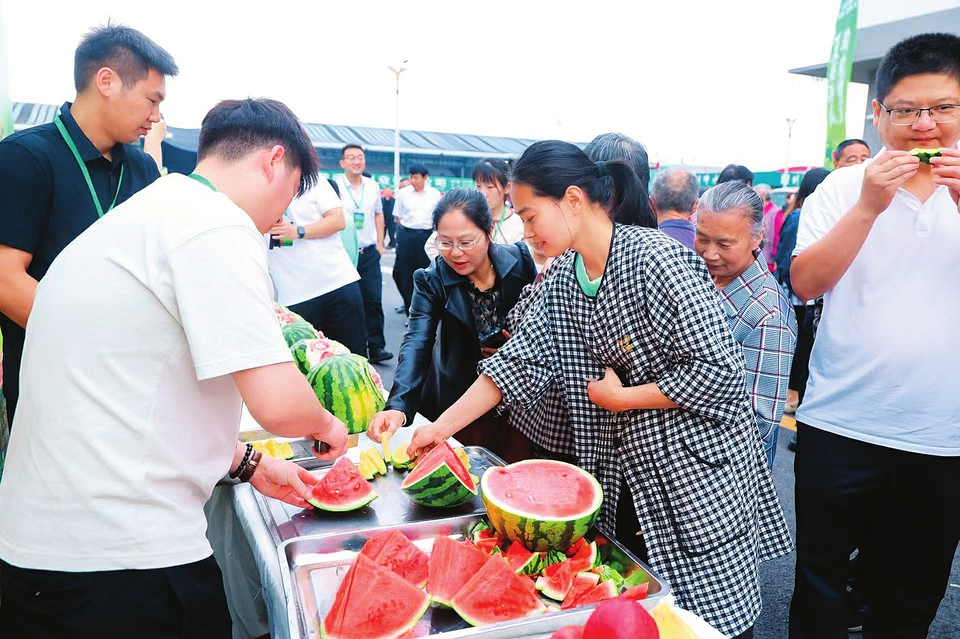 【晋品寻踪记】夏乐西瓜：一路向南 “甜”途可期