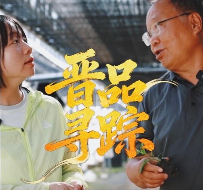 晋品寻踪｜一颗苹果的诞生（三）