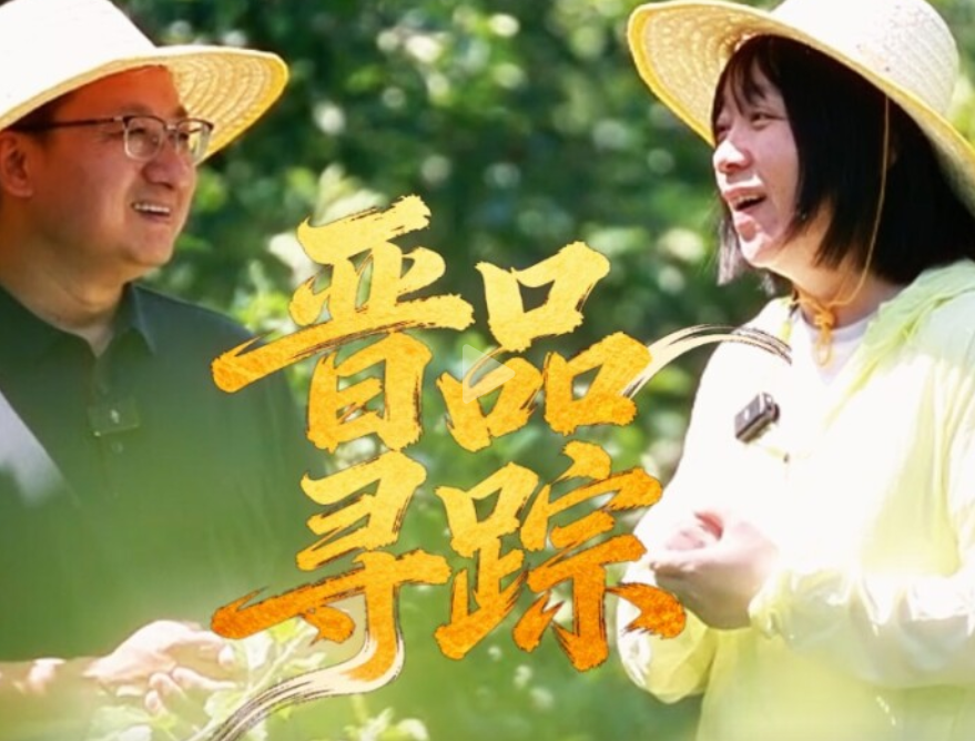晋品寻踪｜一颗运城苹果的全球之旅