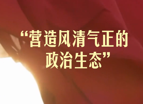 总书记的人民情怀丨“营造风清气正的政治生态”