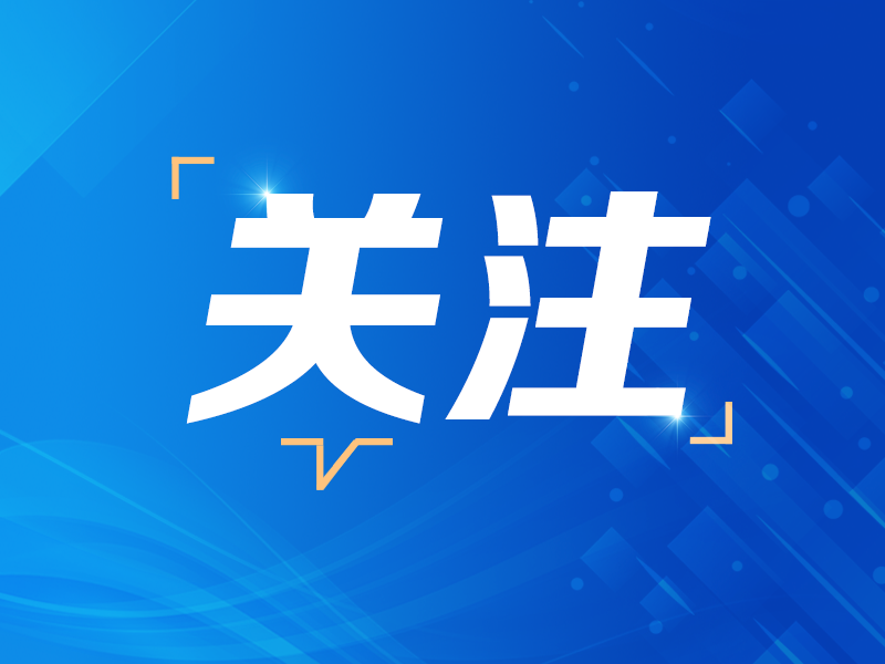 杨某某（2005年生），不得录用为公务员