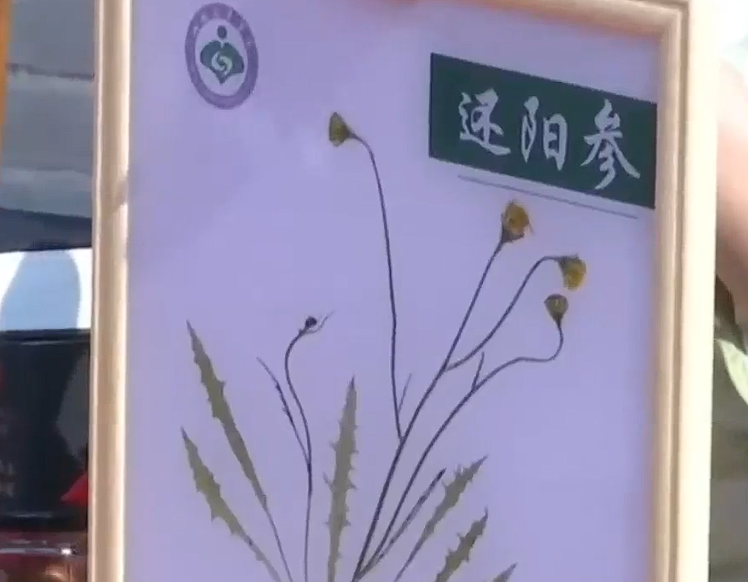【@我在现场】从“一根草”到“一支针”  听他们讲山西中医药的“仁心”故事