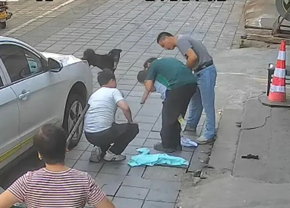 赵小秋，你做的好事，全网都知道了！