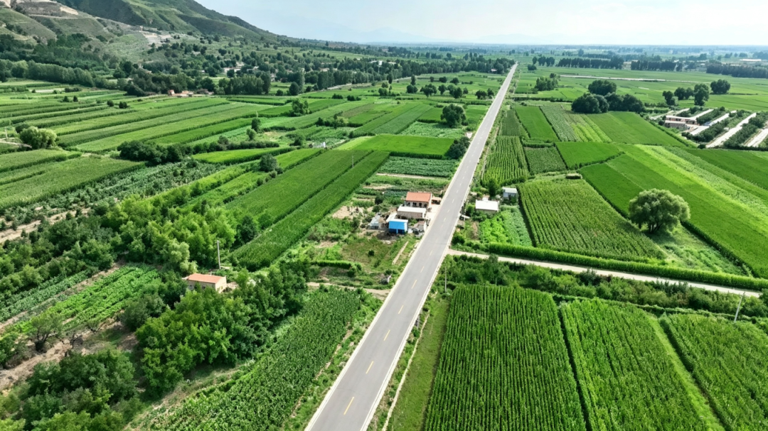 图说 | 高铁飞驰兴沃野 长路蜿蜒绘新程