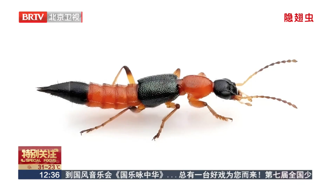 北方多地已出现，被称为“飞行的硫酸”？紧急提醒